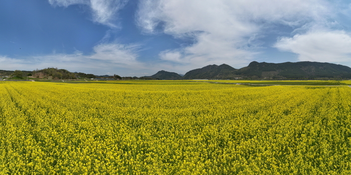 순창군