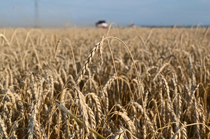 UKRAINE-CRISIS/WHEAT-PRICES