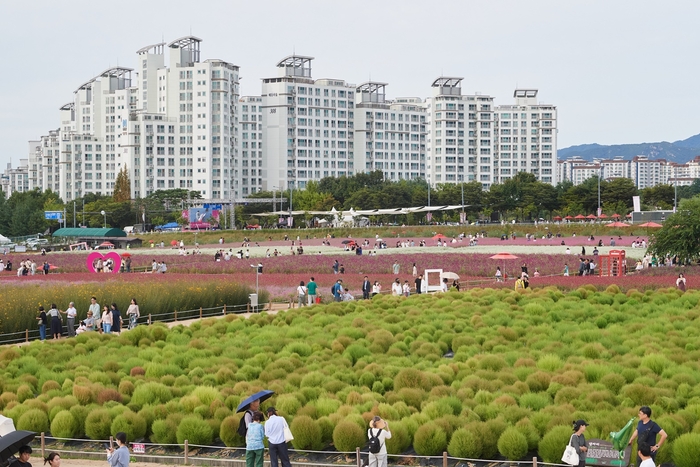 2023 양주천만송이천일홍축제
