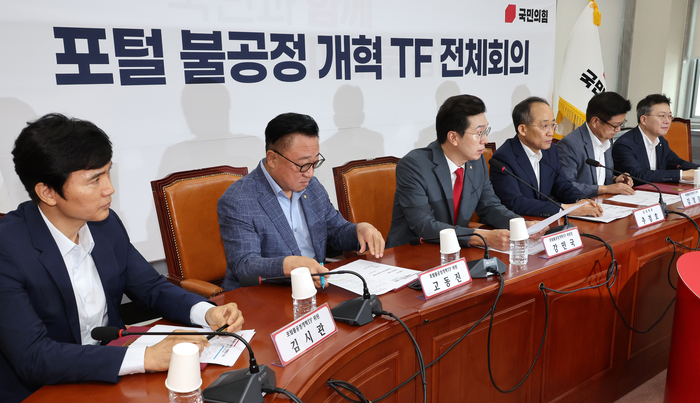 '포털 불공정 개혁 TF'회의서 발언하는 강민국 위원장