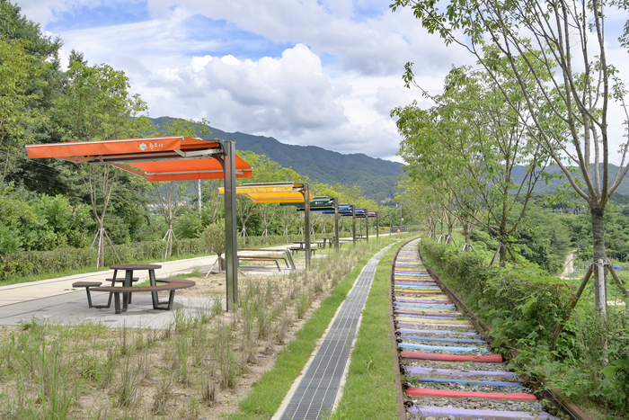 치악산바람길숲 전경