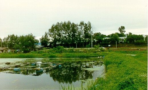 화성시