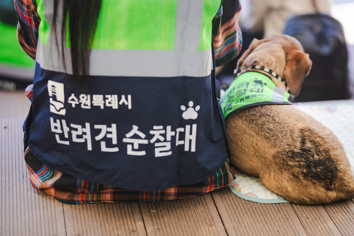 수원시