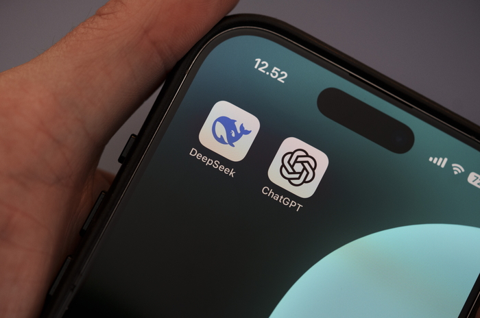 DENMARK AI DEEPSEEK