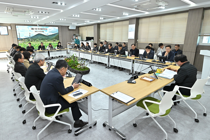 상반기 재정 신속 집행 보고회