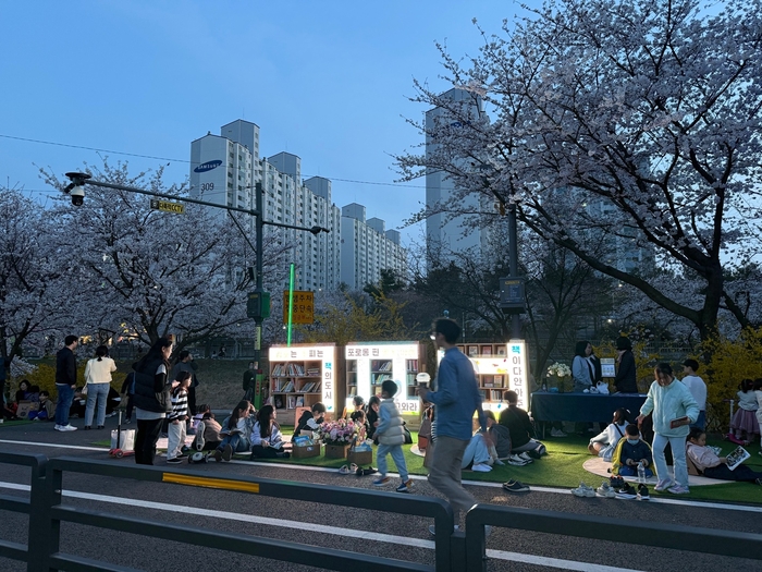 김포시 2025 김포벚꽃축제(야외도서관)
