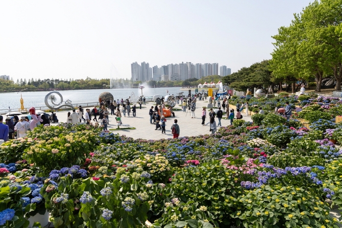 2025고양국제꽃박람회- '수국 정원'