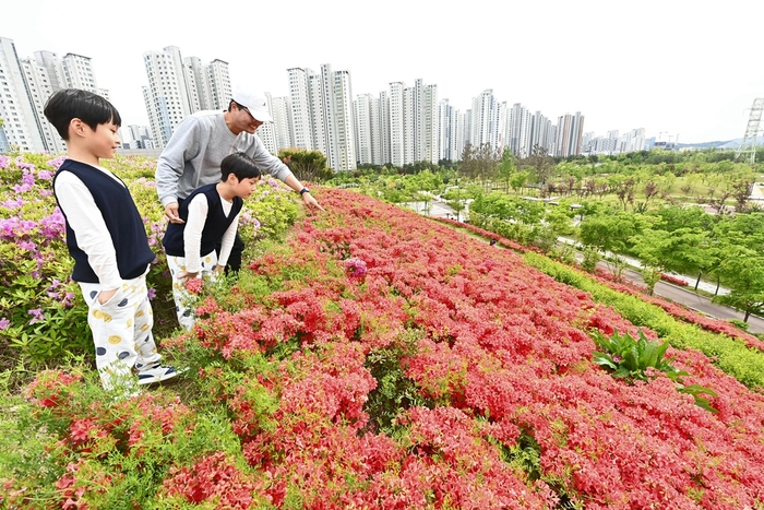 하남시 미사한강공원 철쭉동산