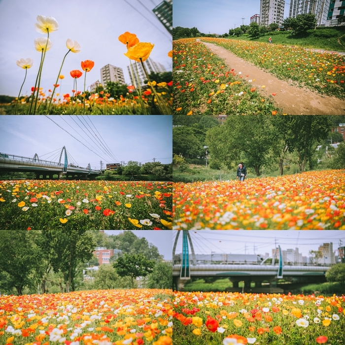 오산시