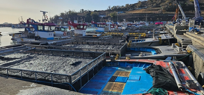 고흥군, 2025년산 물김 생산량 전국 1위 달성... 생산액·위판액 모두 증가