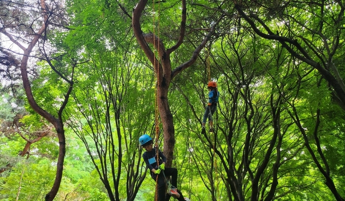 고양특례시 정발산공원 유아숲체험원