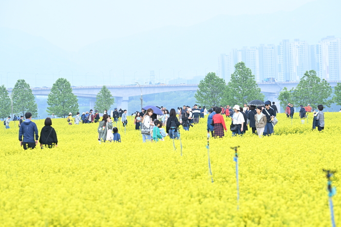 2025구리유채꽃축제 현장