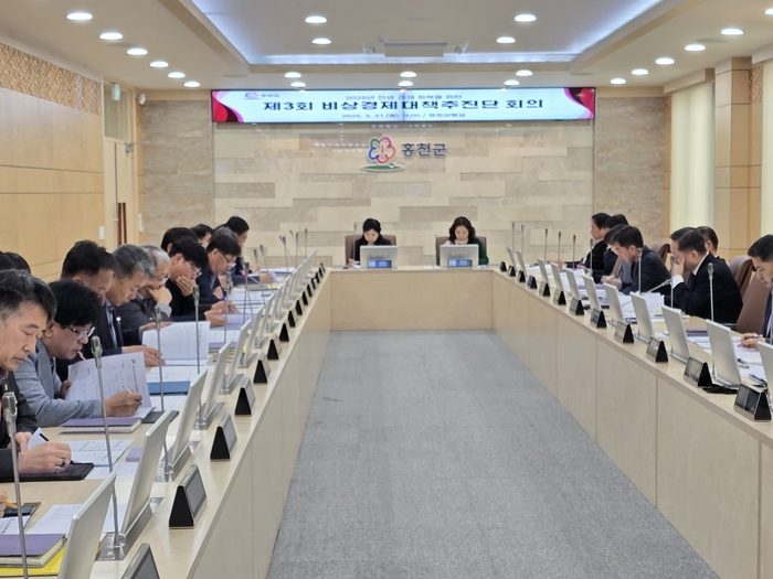 제3회 비상경제대책추진단 회의