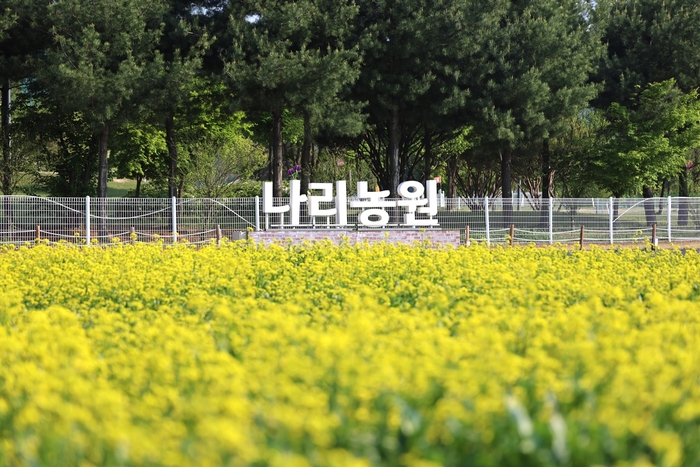 양주시 나리농원