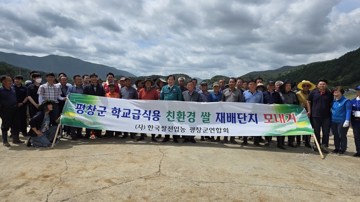 학교급식용 친환경 쌀 모내기