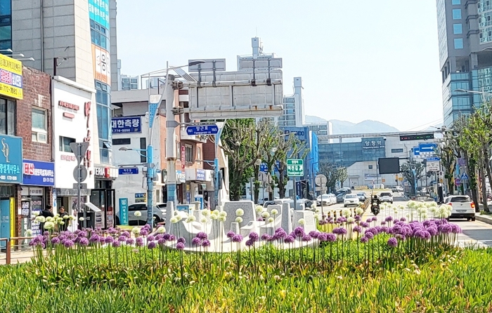 양평군 회전교차로 화단