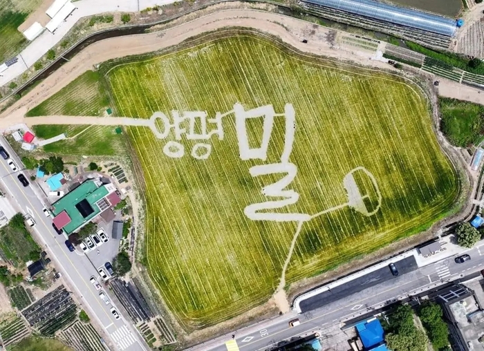 양평군 2024년 양평밀축제 현장