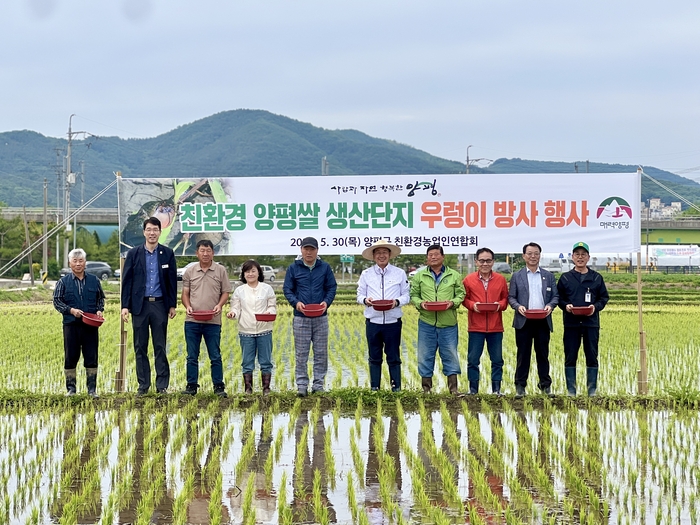 양평군 친환경 양평쌀 생산 우렁이 방사 행사 현장