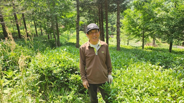 전남도, 6월 임업인에 산마늘 생산 강창원 임업후계자 선정