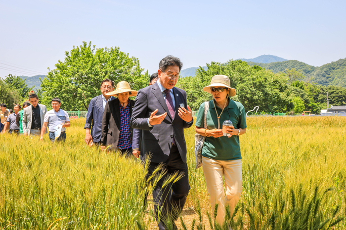 양평군 5일부터 8일까지 2025양평밀축제 개최