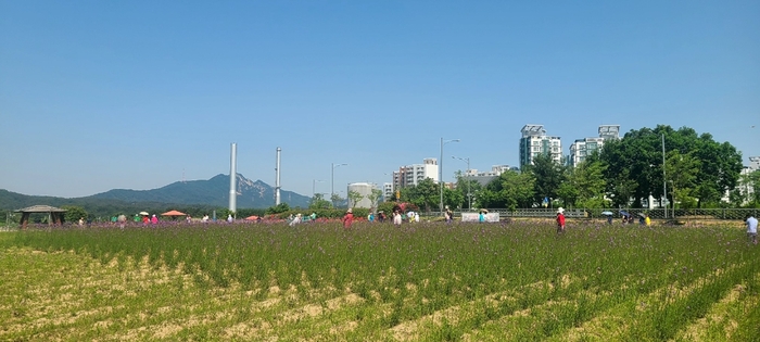 양주시 나리농원 전경