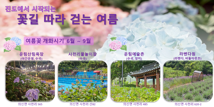 진도군, '운림 수국의 밤' 관심 집중