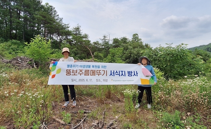 국립생태원, 산불 피해 입은 의성군에 멸종위기 '뚱보주름메뚜기' 신규 방사