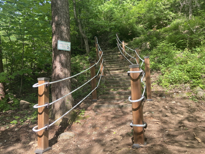 영주시, '동서트레일' 영주 구간 조성 완료