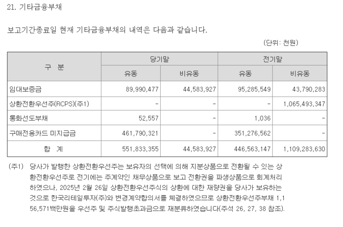 금융감독원 전자공시시스템(DART)에 공시한 홈플러스 감사보고서