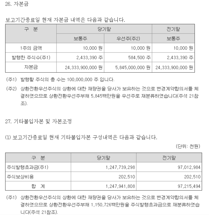 금융감독원 전자공시시스템(DART)에 공시한 홈플러스 감사보고서