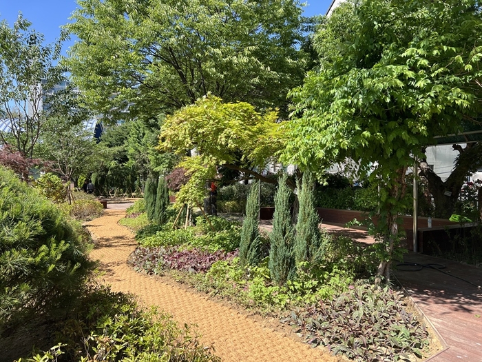 안양시 안양서초등학교 학교숲