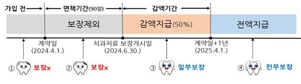 치아보험
