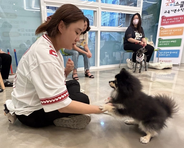 광명시 반려동물문화복합센터 반함 행동교정 교육 진행