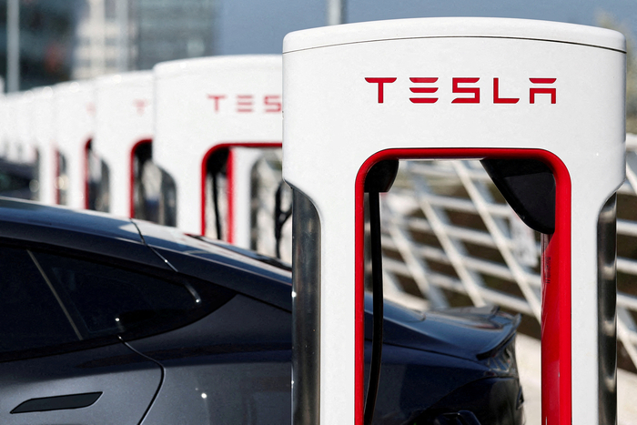 TESLA-ROBOTAXI/