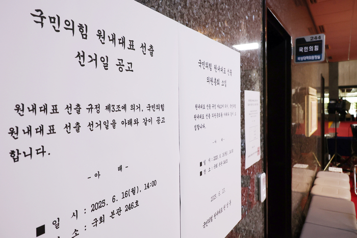 국민의힘 차기 원내대표 선출 공고문