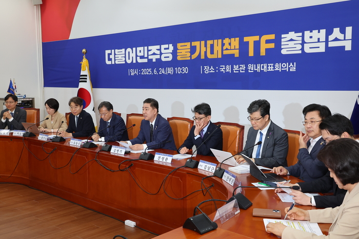 발언하는 김병기 당 대표 직무대행 겸 원내대표