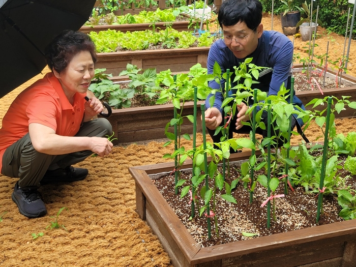 양주시 '아파트 쌈지텃밭' 10개 단지에 조성
