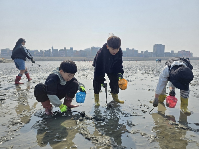 시흥 오이도 갯벌에서 조개 캐기 체험