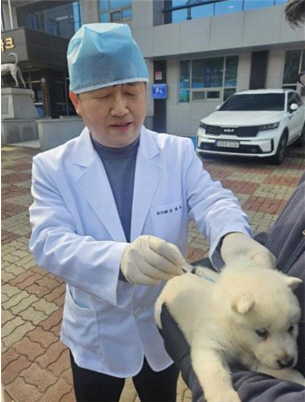 진도군, 천연기념물 진도개 '방문 진료' 큰 호응