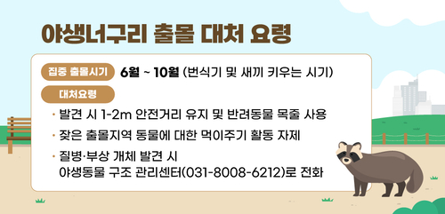 안양시 야생너구리 출몰 대처요령 안내 배너