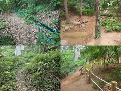 안양시 수리산 골안공원 청개구리 습지 및 호랑나비초화원 시공 전후