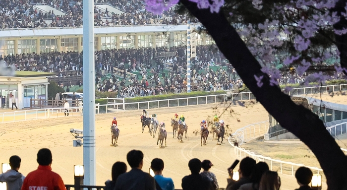 한국마사회