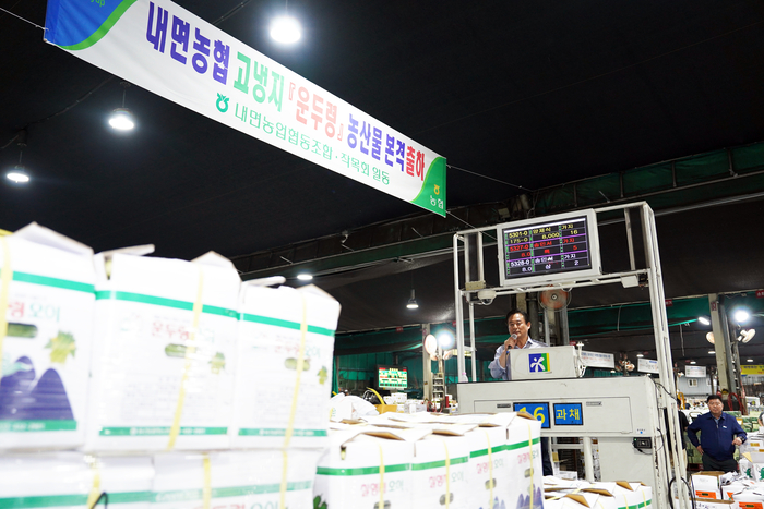 신영재 홍천군수 서울 농수산물도매시장 방문