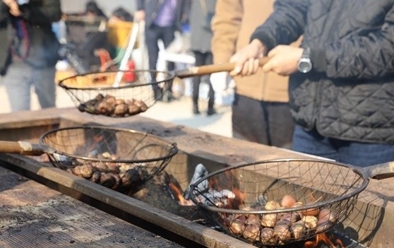밤 산업에도 전략이 필요하다…공주, '알밤 산업 육성' 본격 시동