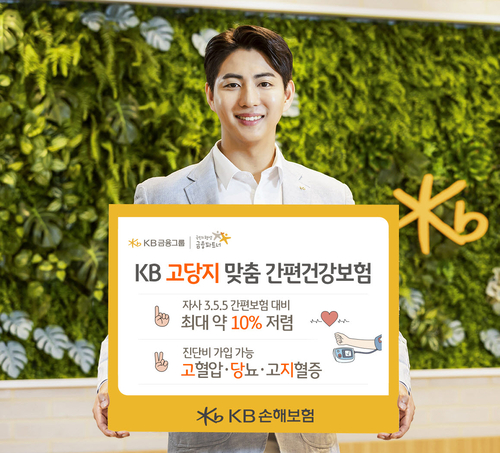 KB손보