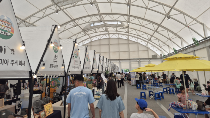 DMZ 바이브 축제(페스타