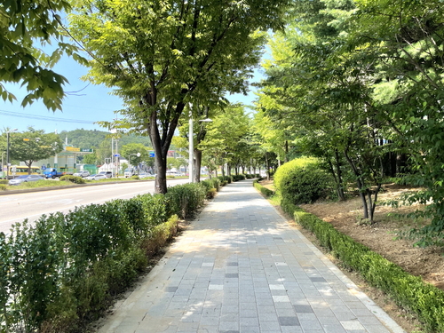 고양특례시 고봉로 미세먼지 차단 가로숲 사업지