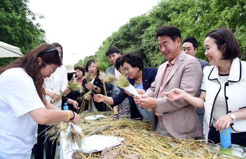 의정부시 중랑천 청보리길 걸어보리 축제 현장