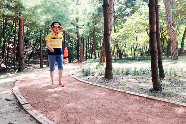 용인시