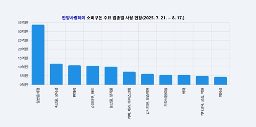 안양시 민생회복 소비쿠폰 주요 업종별 사용 현황 그래프